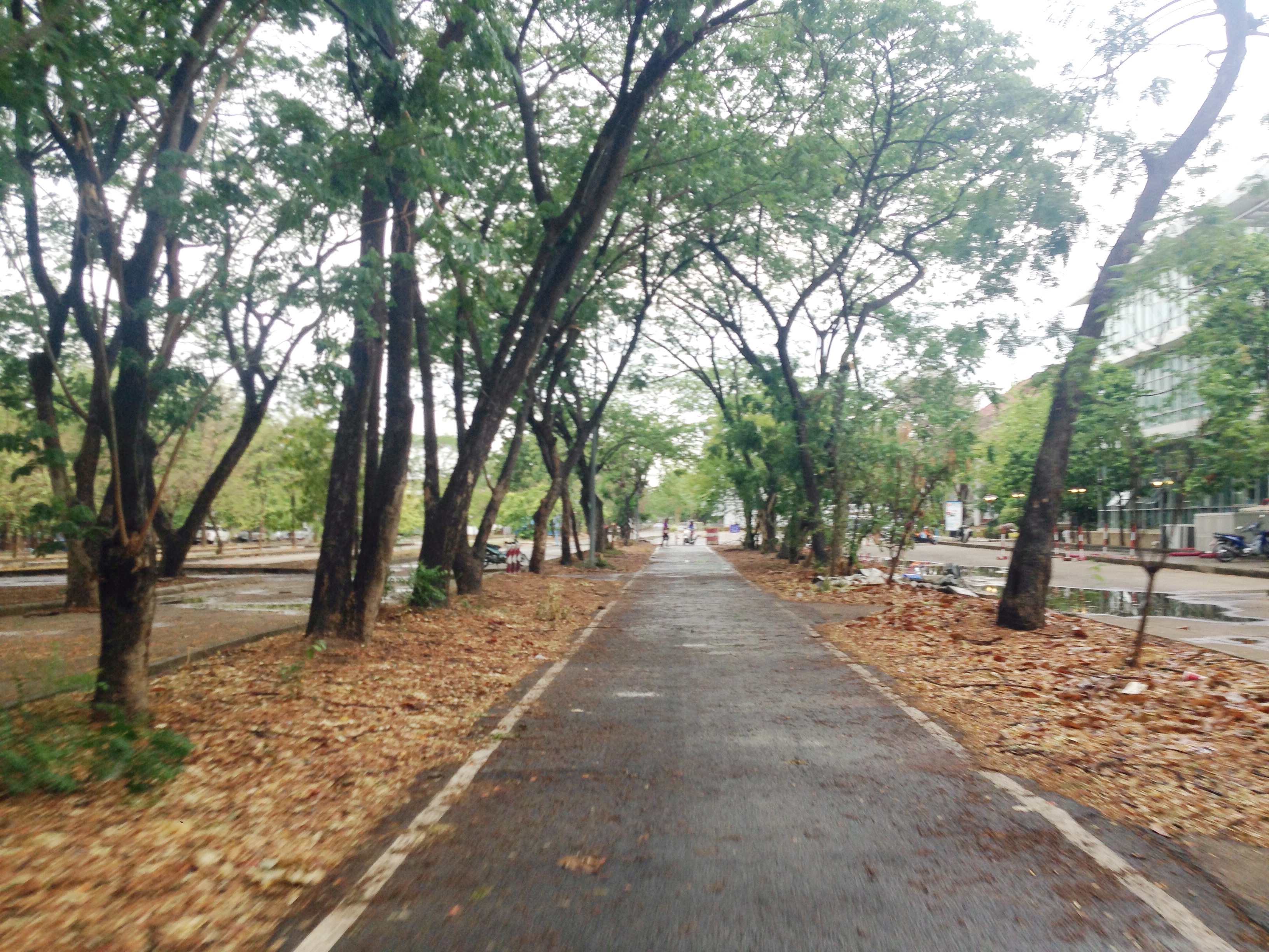 19 พ.ค. 59 ม.นเรศวรฝนตกหนักอากาศชุ่มชื่น