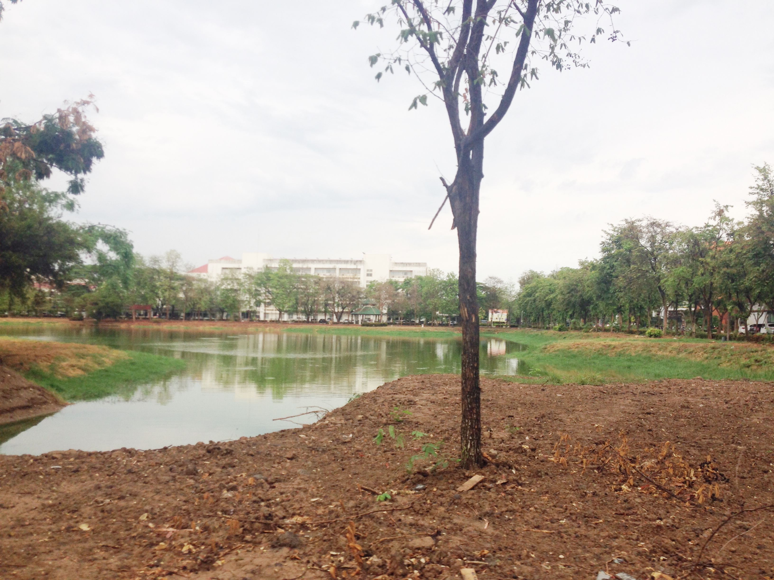19 พ.ค. 59 ม.นเรศวรฝนตกหนักอากาศชุ่มชื่น